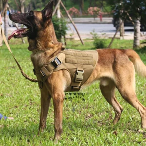 Dog Harness And Leash Set