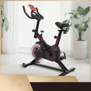 Silent Indoor Bike