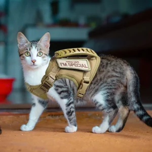 Tactical Cat Harness